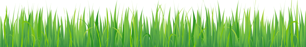 Grass_Banners_Singlev2.gif